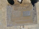 image of grave number 591262